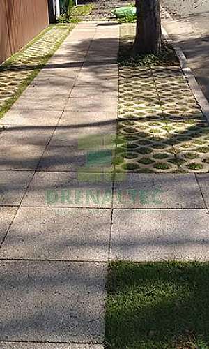 Piso grama Piso grama